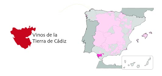 V.T. Cádiz